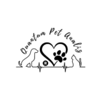 Quantumpet Logo